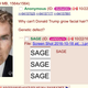 Screenshot: 4chan